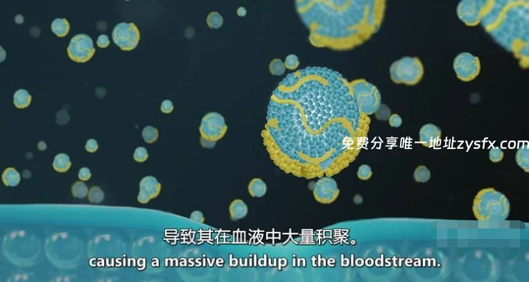 图片[3]-美国纪录片《胆固醇密码 The Cholesterol Code 2026》英语中英双字 无水印纯净版 1080P/MKV/1.73G 食品健康纪录片-资源社