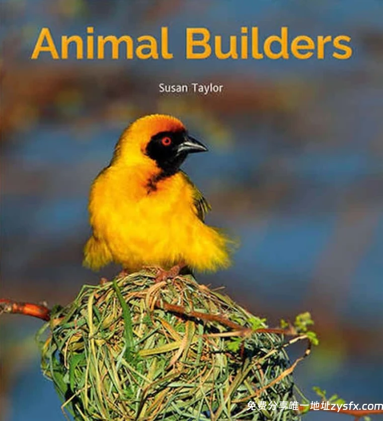 ZED纪录片《动物建筑师 Animal Builders 2011》英语中英双字 无水印 纯净版 1080P/MKV/1.76G 动物建筑师-资源社