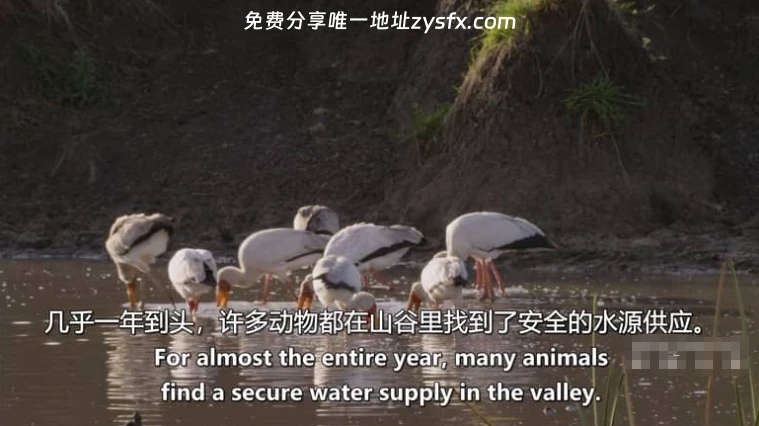资源图片 - 相关画面3