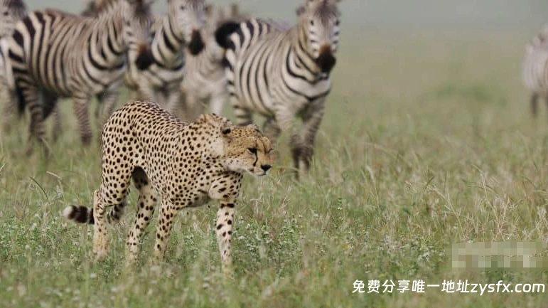 资源图片 - 相关画面2