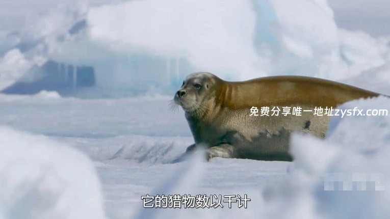 资源图片 - 相关画面4