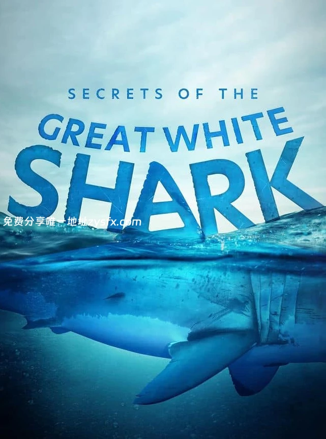 英国纪录片《大白鲨的秘密 Secrets of the Great White Shark 相关画面1
