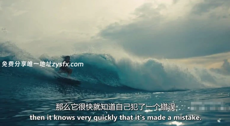 英国纪录片《大白鲨的秘密 Secrets of the Great White Shark 相关画面5