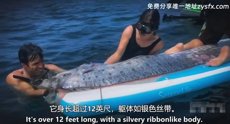 资源图片 - 相关画面2