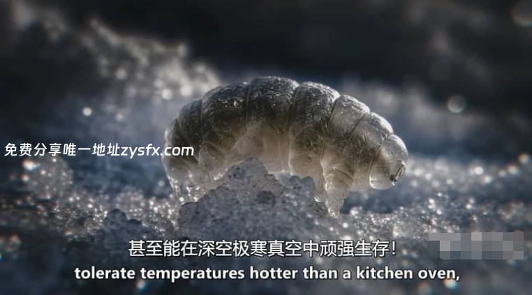 《冰雪纪元 Ages of Ice 2026》全3集 1080P 中英双字 - 资源截图 4