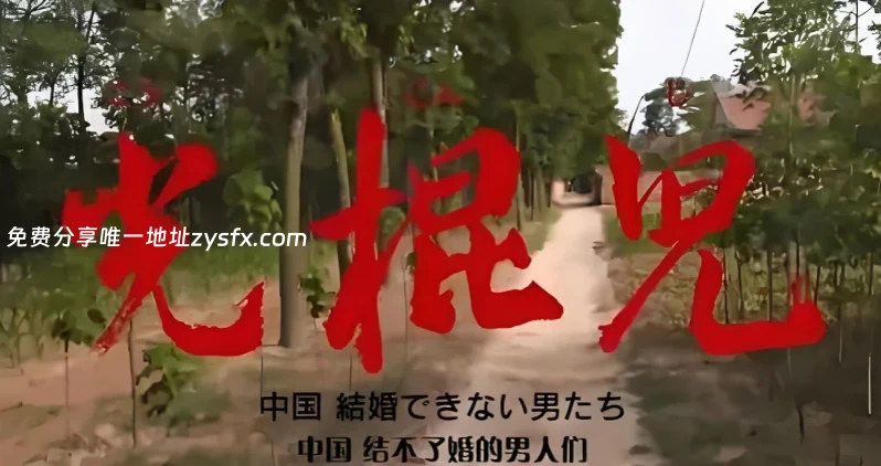 图片[1]-《光棍儿：中国结不了婚的男人们》-资源社