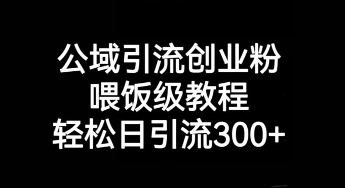 公域引流创业粉，喂饭级教程，轻松日引流300+【揭秘】-网创
