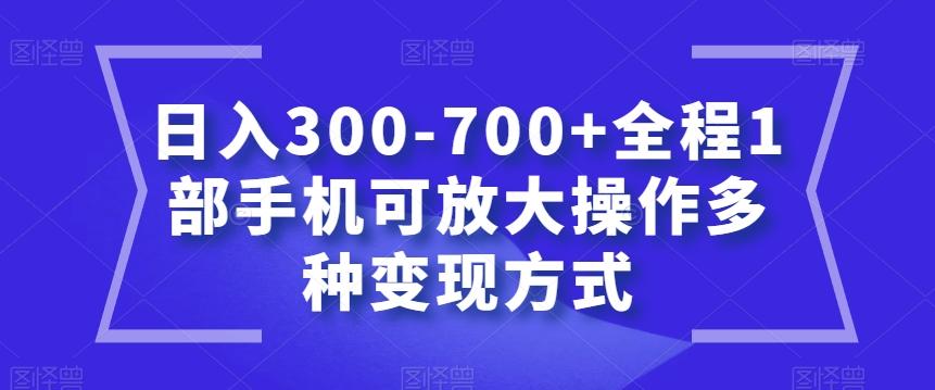 日入300-700+全程1部手机可放大操作多种变现方式【揭秘】-网创