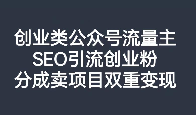创业类公众号流量主，SEO引流创业粉，分成卖项目双重变现【揭秘】-网创