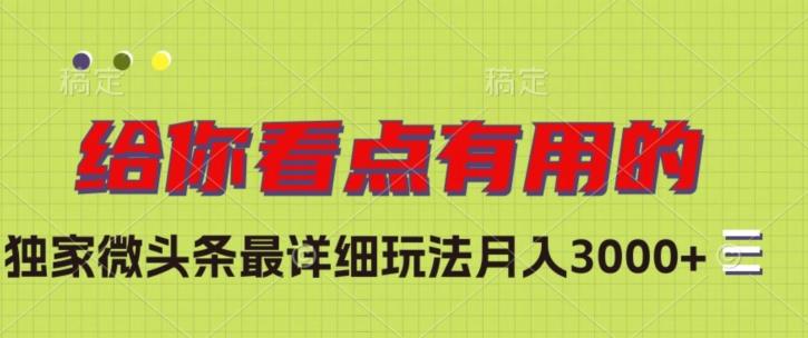 独家微头条最详细玩法，月入3000+【揭秘】-网创