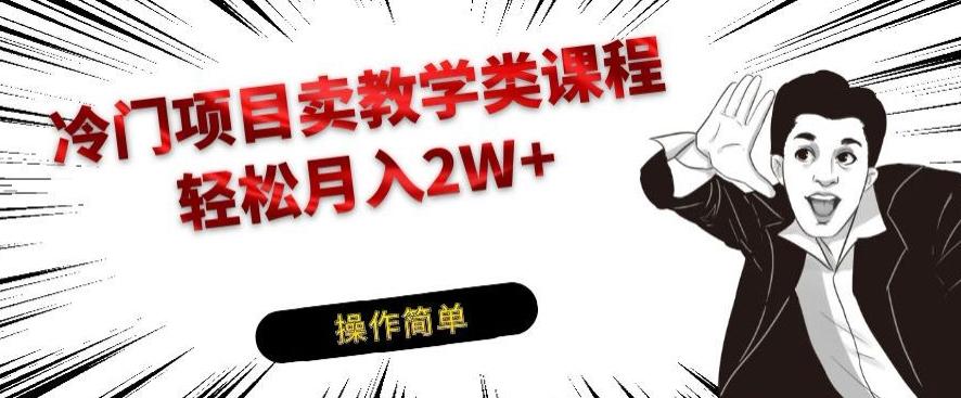 冷门项目卖教学类课程，轻松月入2W+-网创