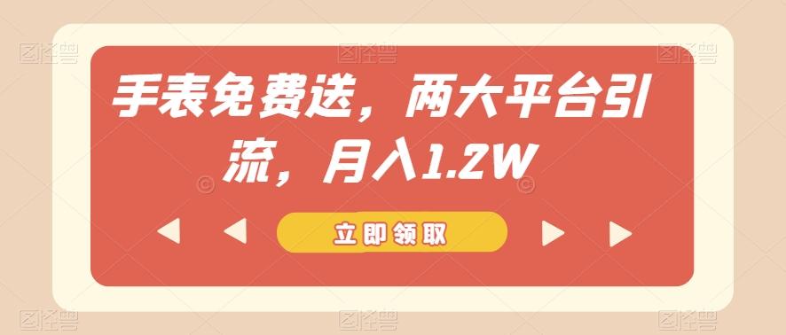 手表免费送，两大平台引流，月入1.2W【揭秘】-网创