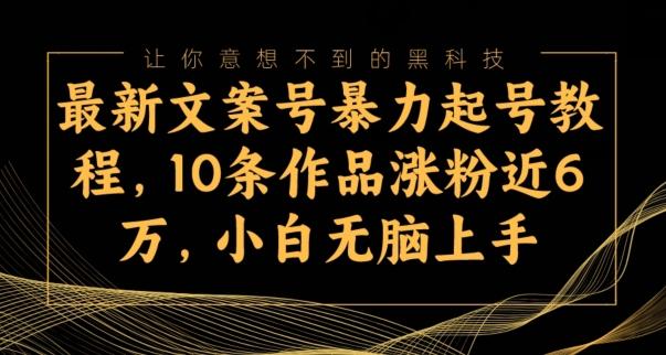 最新文案号暴力起号教程，10条作品涨粉近6万，小白无脑上手-网创