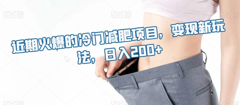 近期火爆的冷门减肥项目，变现新玩法，日入200+-网创