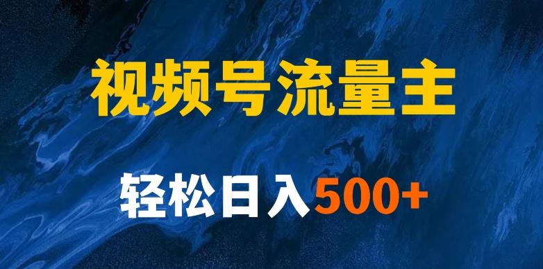 揭秘视频号创作者分成计划，带你玩赚视频号流量主！新手也能月入1w+-网创