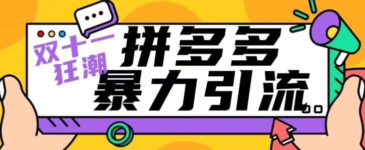 【首发】双十一拼多多暴力引流，日引300+微信-网创