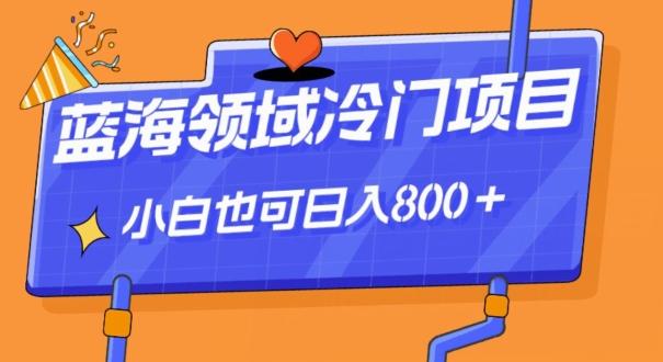 蓝海领域冷门赛道，一单39.9，日入800＋-网创