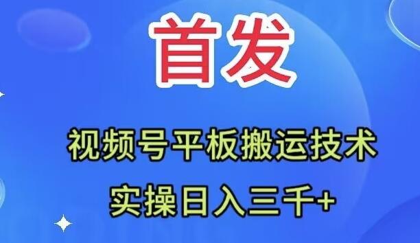 全网首发：视频号平板搬运技术，实操日入三千＋-网创