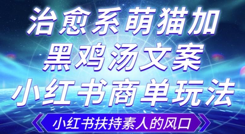治愈系萌猫加+黑鸡汤文案，小红书商单玩法，3~10天涨到1000粉，一单200左右-网创