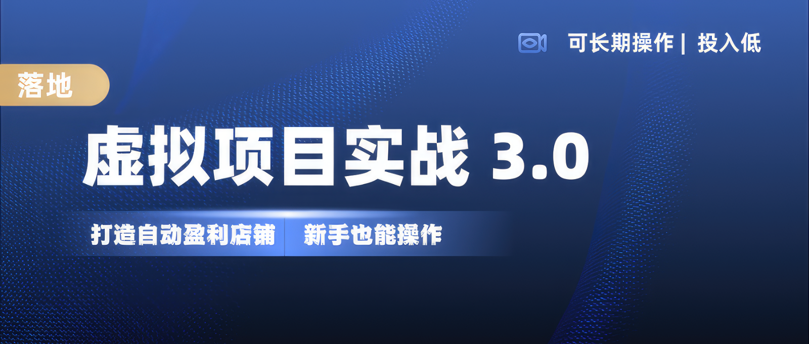 虚拟项目实操落地 3.0,新手轻松上手，单品月入1W+-网创