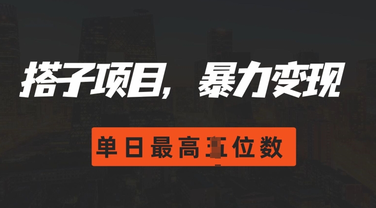 2024搭子玩法，0门槛，暴力变现，单日最高破四位数【揭秘】-网创