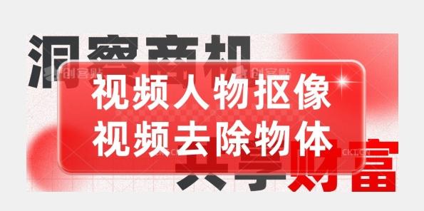 【超强视频处理工具】视频人物抠像+视频去除物体-网创