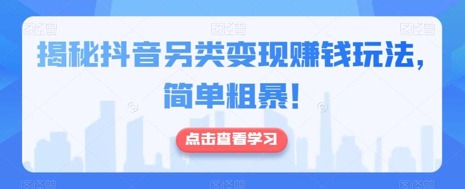 揭秘抖音另类变现赚钱玩法，简单粗暴！-网创