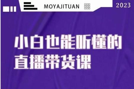 大威本威·能听懂的直播带货课,小白也能听懂,20节完整