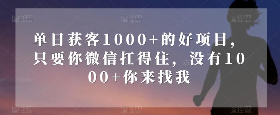 单日获客1000+的好项目，只要你微信扛得住，没有1000+你来找我【揭秘】-网创