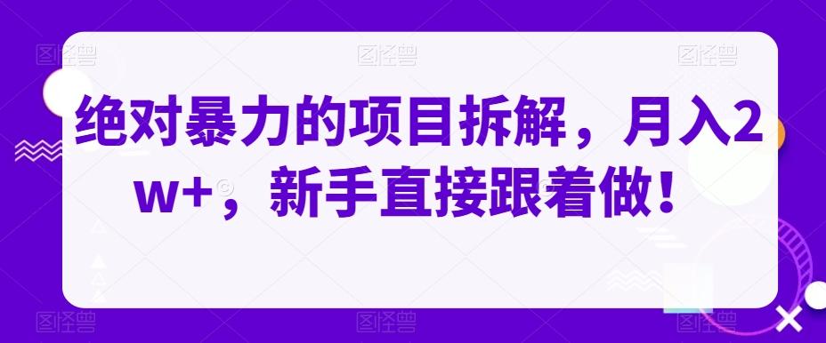 绝对暴力的项目拆解，月入2w+，新手直接跟着做！-网创