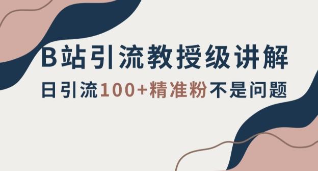 B站引流教授级讲解，细节满满，日引流100+精准粉不是问题【揭秘】-网创