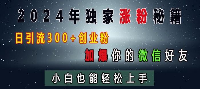 2024年独家涨粉秘籍，日引流300+创业粉，加爆你的微信好友，小白也能轻松上手-网创