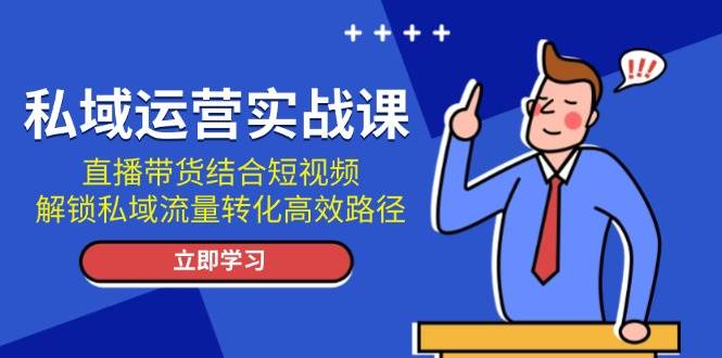 私域运营实战课：直播带货结合短视频，解锁私域流量转化高效路径-网创