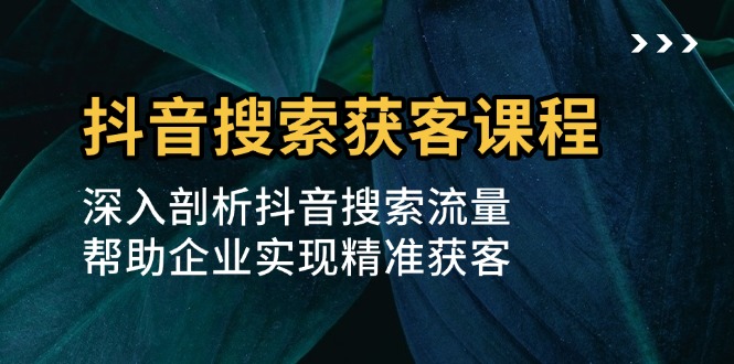 抖音搜索获客课程：深入剖析抖音搜索流量，帮助企业实现精准获客-网创