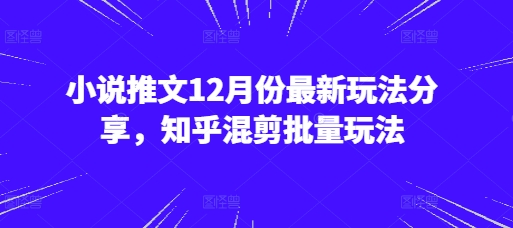 小说推文12月份最新玩法分享，知乎混剪批量玩法-网创