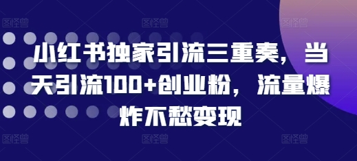 小红书独家引流三重奏，当天引流100+创业粉，流量爆炸不愁变现【揭秘】-网创