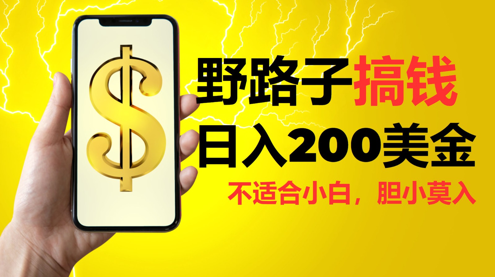 挂机野路子搞钱，日入200美金，路子很野，小白莫入-网创
