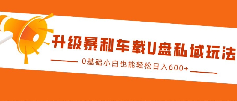 升级暴利车载U盘私域玩法，0基础小白也能轻松日入多张【揭秘】-网创