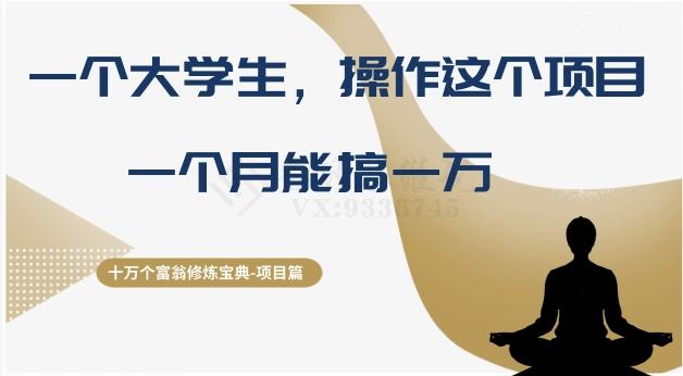 十万个富翁修炼宝典之4.一个大学生操作这个项目,一个月能搞一万