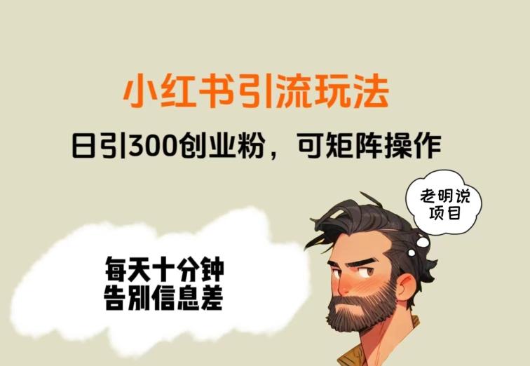 靠小红书视频日印300粉，两分钟一个视频轻松矩阵-网创