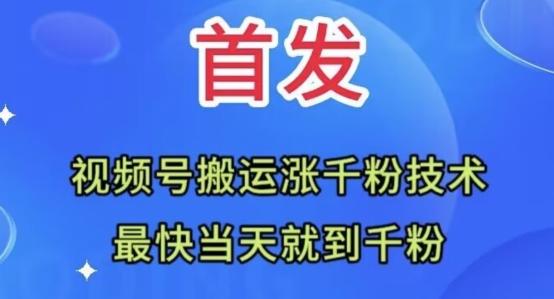 全网首发：视频号无脑搬运涨千粉技术，最快当天到千粉【揭秘】-网创