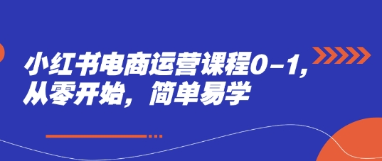 小红书电商运营课程0-1，从零开始，简单易学-网创