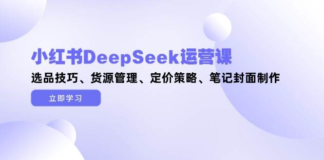 小红书DeepSeek运营课，选品技巧、货源管理、定价策略、笔记封面制作-网创