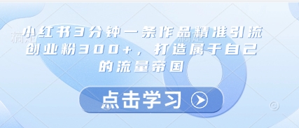 小红书3分钟一条作品精准引流创业粉300+，打造属于自己的流量帝国-网创